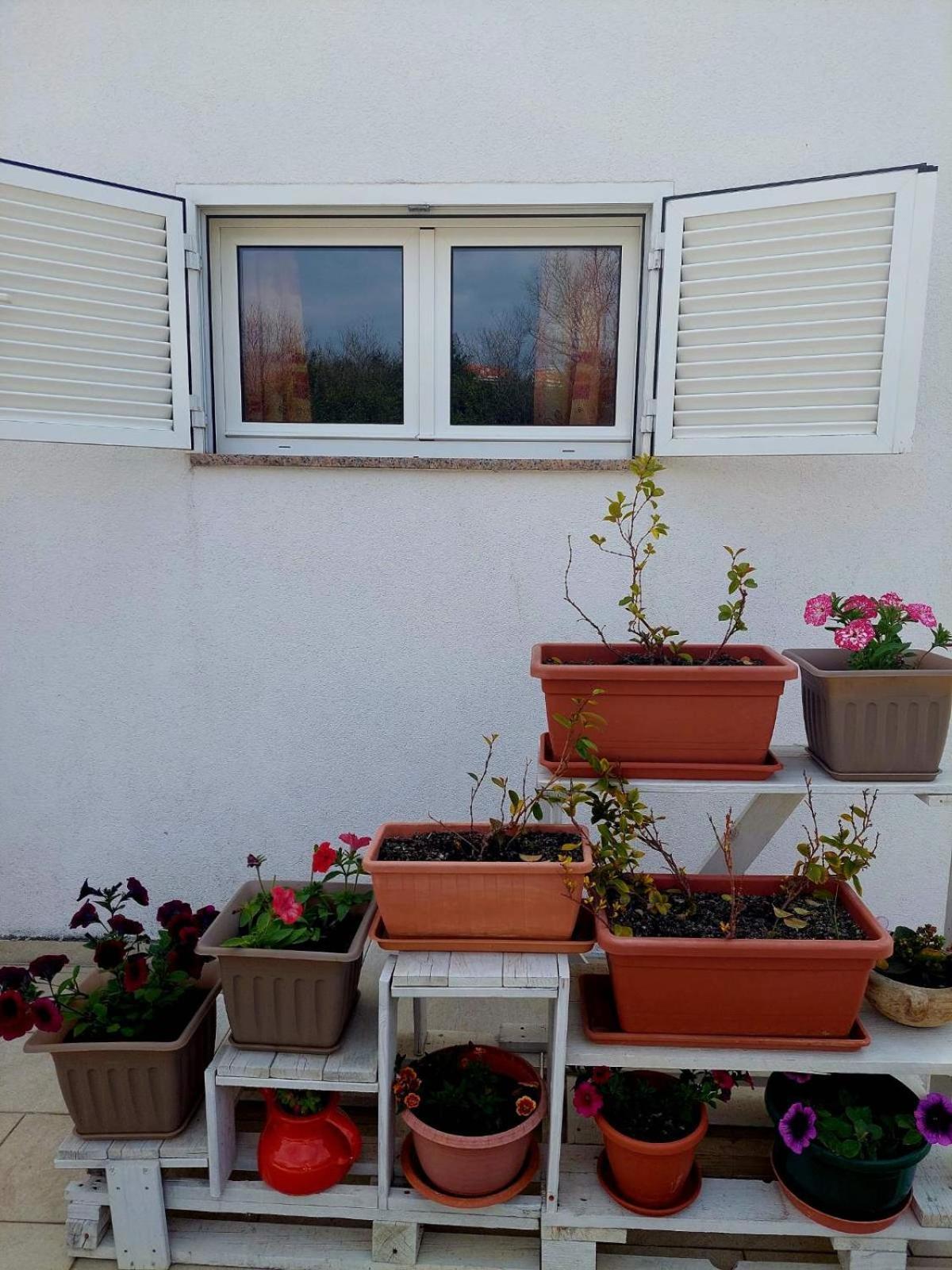 Rooms Hodanic クルク 部屋 写真